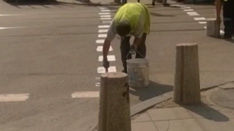 Зебра, ама крива. Крива, ама зебра!