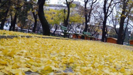 Градусите скачат, утре ще са есенните 22