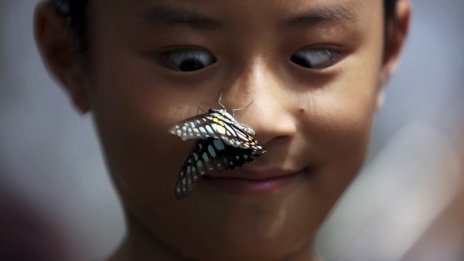 Младост, младост... и старост – също радост