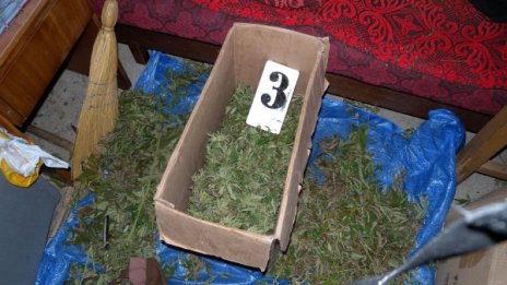 Иззеха пушка и канабис от дома на мъж, стрелял по кучета