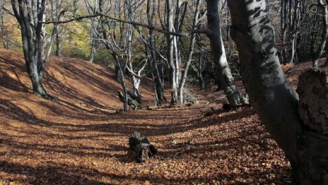 Мрачно, с превалявания и хладно ще е утре