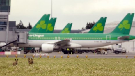 &#163;41 000 във вид на дрога убиха муле