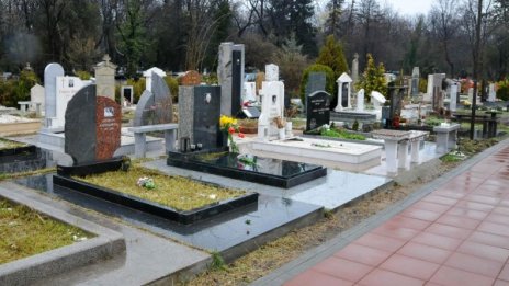 Да си спомним за близките, които вече не са сред нас!