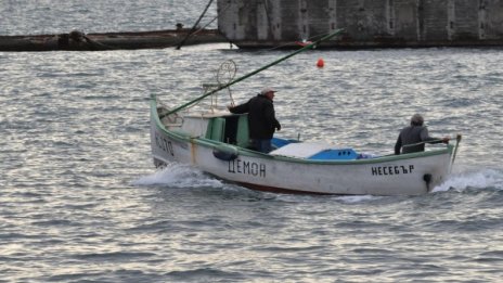 Океански "пришълци" нападат Черно море