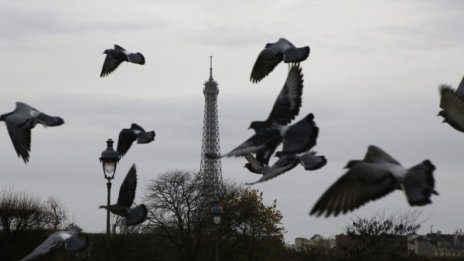 Черният сценарий, от който френските служби се страхуваха