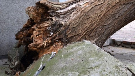 Бурята остави без ток Младост 1 и  2, Мусагеница и Студентски град 