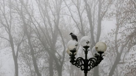 И днес без сняг, температурите ще стигнат до 12°