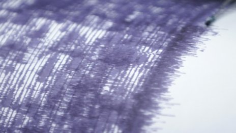 Трус от 4,5 разлюля Черно Море 