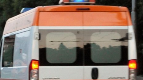 Бургазлия лежи в болница пребит от собственик на куче