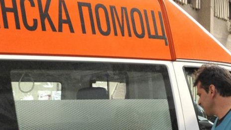 Бик нападна и уби пазач