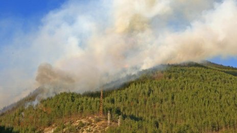 Горски пожар бушува край Златоград