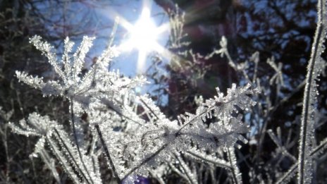 Утре слънчево, но студено, че и ветровито