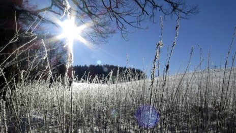 От "хапещи" -20 до пролетни +15 през януари