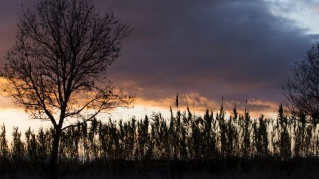 Времето днес: Променливо до слънчево