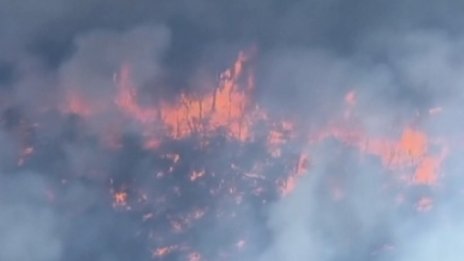 Огнен ад изпепели 100 жилища в Австралия