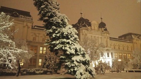 30 см сняг в София, обстановката е усложнена 