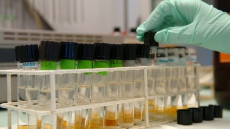 Лаборатория пуснала из нета ЕГН-тата на пациенти