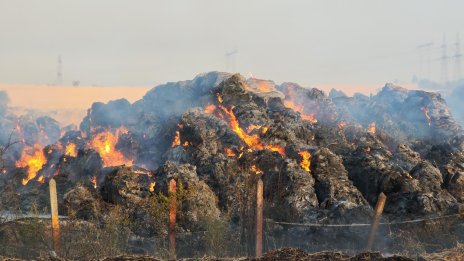 Борова гора пламна край Ямбол
