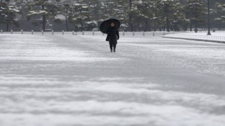Един загинал и няколко пострадали при снежна буря в Япония