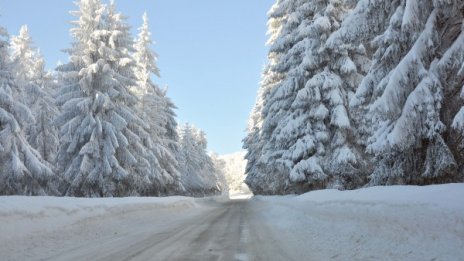 МВР установи 10 000 нарушения на пътя за седмица