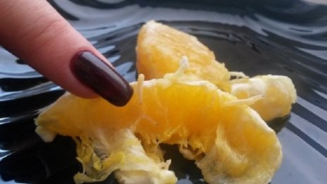 Ядем портокали с мезе – червеи бродят из плодовете