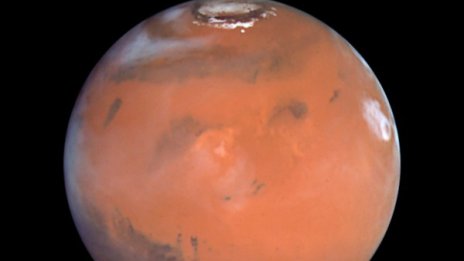 Скални гъби от Антарктика оцеляха в марсиански условия