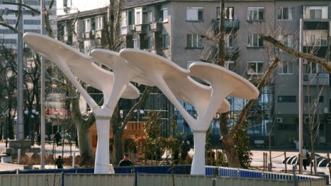 "Посадиха" соларните дървета в Бургас