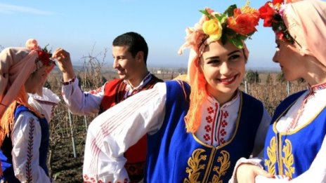 Лозари и винари се обединиха в кооператив "Карнобат"