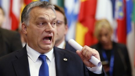 Антиимиграционна сила се издига в Европа