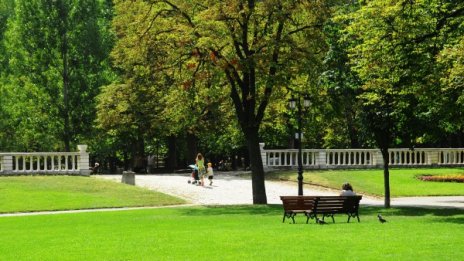 Фандъкова спря поръчка за 28 млн. за озеленяване