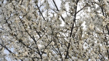 Март с повече валежи, но с много малко сняг