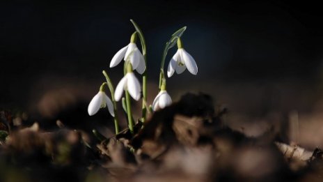 Февруари счупи рекорда за жега, днес – 10°С
