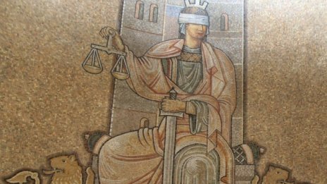 Осъдиха перничанин за кражба на 7 кипариса