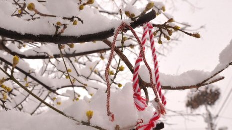 Сняг валя във Враца, натрупа в Пампорово