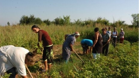 Роми до премиера: Не щем помощи, искаме работа!