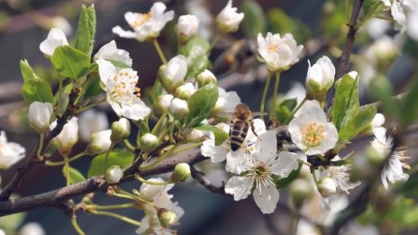Пролет или лято - до 29 градуса беше днес
