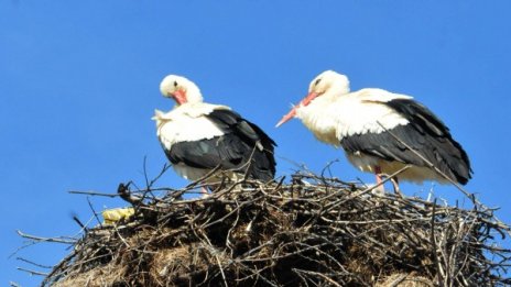 Днес &ndash; по-топло и от вчера, температурите до 28&deg;