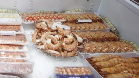 Данъчните ще следят изкъсо... Октоподи и скариди