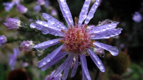 Утре остава топло, но пък следобед ще вали 