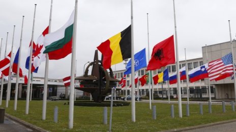 НАТО пресметна: Миграционният поток е в ущърб на ИД