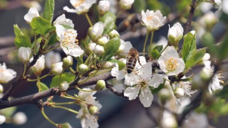 Още по-топло: Градусите утре стигат 30
