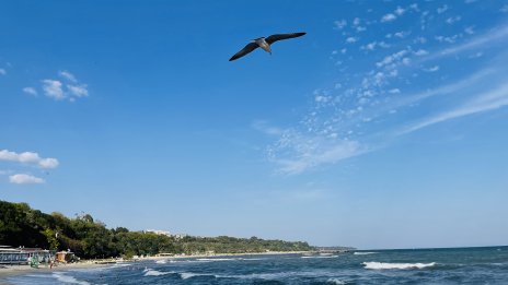 Лятото идва: Слънчево, тихо и топло ще е утре 