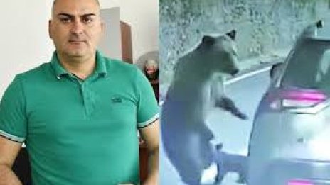 Георги Бижев, който бе нападнат от мечка в Румъния: Опита се да ме захапе по врата