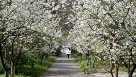 Пролетта се завръща, температурите скачат до 20&deg;