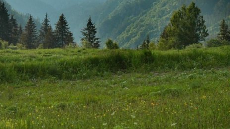 "Плана Хайтс" на 621 дка в Плана – мол, парк, забавачка...