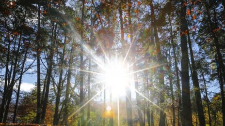 Слънцето ще се усмихне утре, топлят ни 22°C