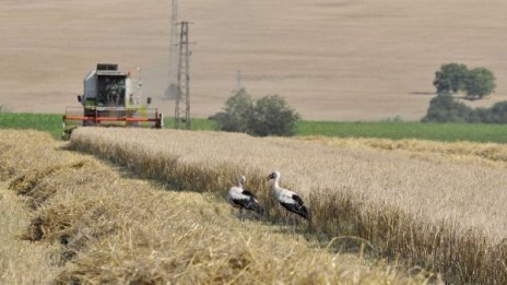 Брюксел: Облекчете купуването на земя от чужденци