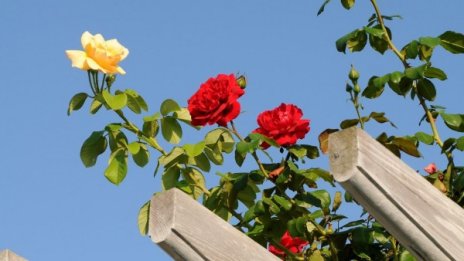 Дочакахме! Утре ще е слънчево