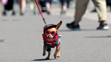 Май си тръгва с истинско лято, термометърът удря 30&deg;