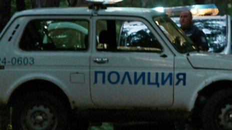 Великотърновски полицаи спипаха 11 нелегални имигранти